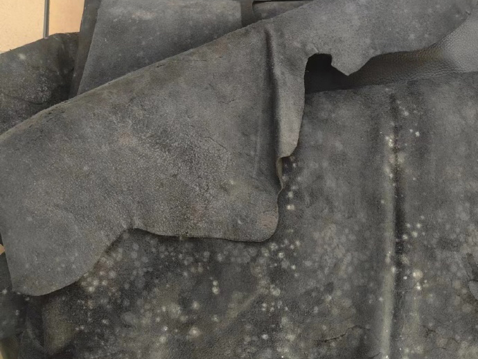 發(fā)霉的皮革
